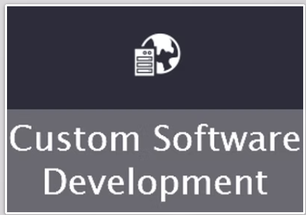 Custom Software Development
