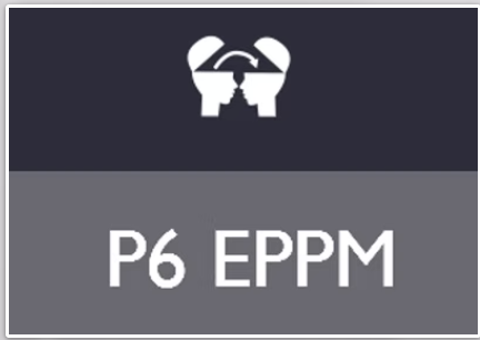 P6 EPPM