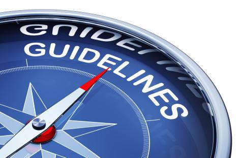 Guideline