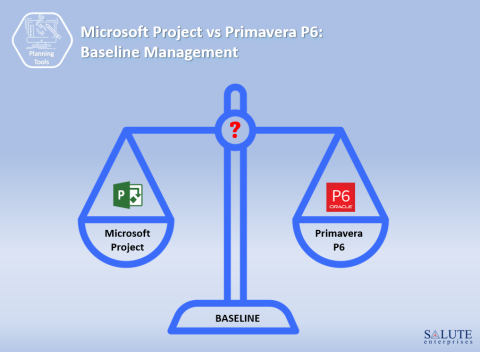 MSP P6