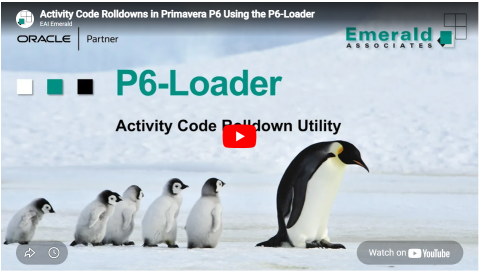 P6 Loader