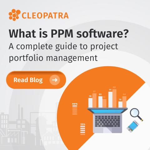 PPM Software