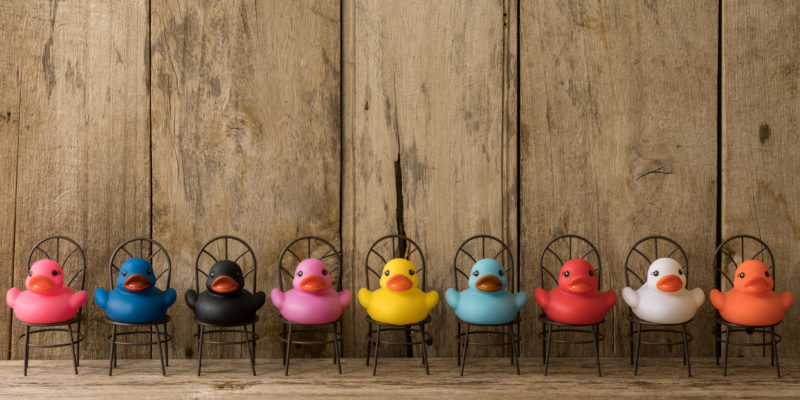goals-ducks-800x400.jpg