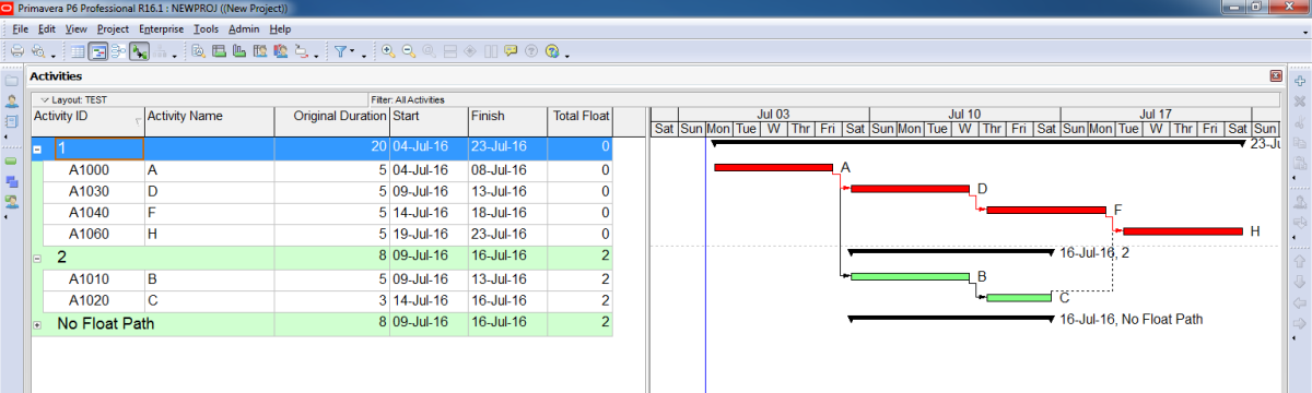 how-to-display-multiple-critical-path-in-primavera-p6-41.png