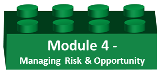 large_bricks_-_module_04_managing_risk.png