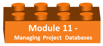 large_bricks_-_module_11_managing_databases.png