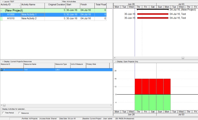level-resources-in-primavera-p6-21.png