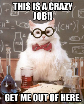 newjob.png