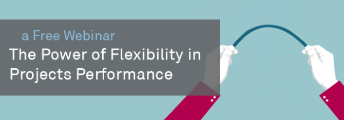 power_of_flexibility_-_1801.png