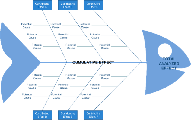 root2.png