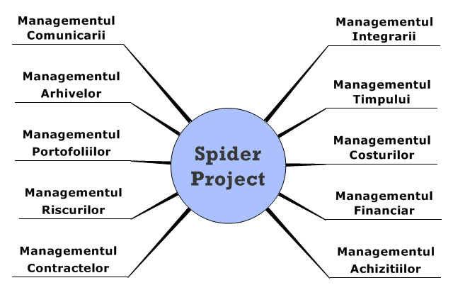spider-spider.png