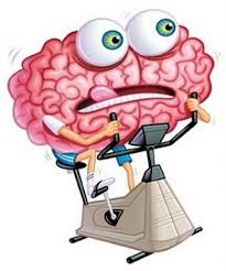 brains.jpeg