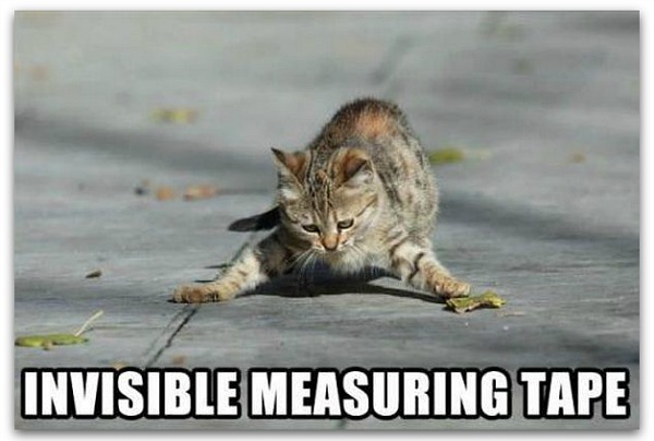 components_of_a_measurement_report-1.jpg