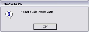 p6_-_valid_integer_error.png