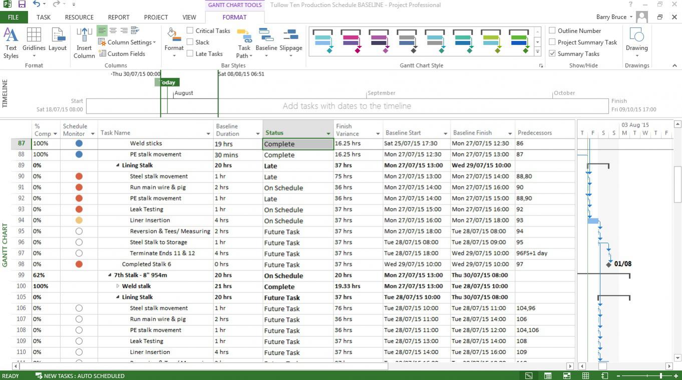 ms_project_late_tasks_query.jpg